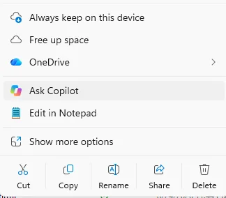 Ask Copilot button in File Explorer context menu