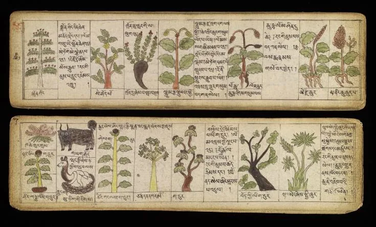 Traditional healing ritual elements illustrating cultural contexts of recovery.