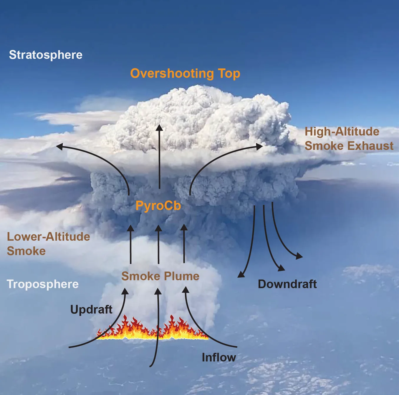 A scientific diagram illustrating how pyrocumulonimbus clouds transport wildfire smoke into the stratosphere.