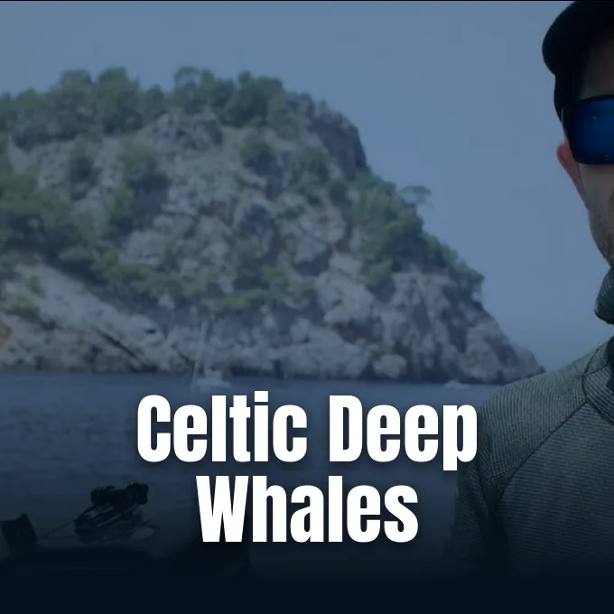 Humpback whale surfacing in the Celtic Deep off the Pembrokeshire coast