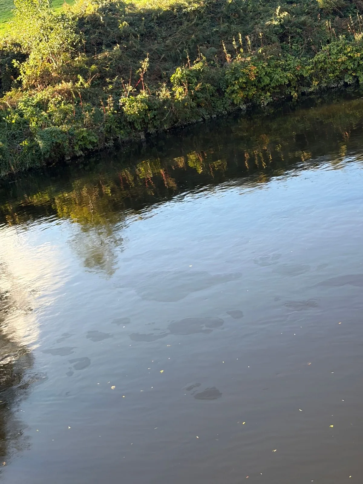 Visible sheen on the water during the river Taff pollution incident