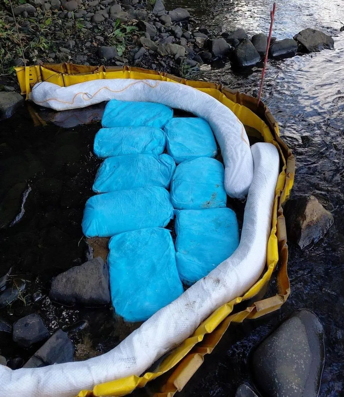 Large blue absorbent squares deployed along the riverbank to trap fuel