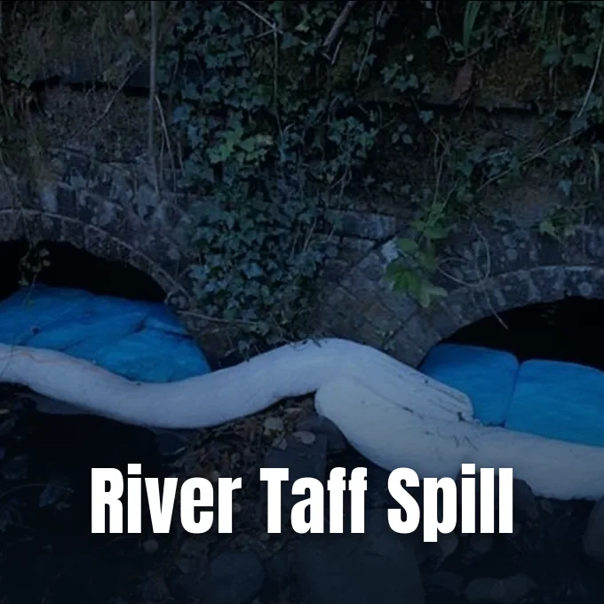 Absorbent booms and pads placed across a culvert drainage channel to contain a fuel spill.