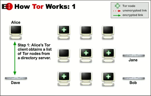 Diagram illustrating how the Tor network routes initial user traffic through an encrypted relay circuit.