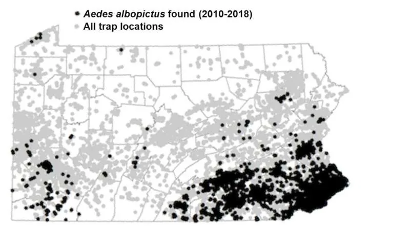 Map of mosquito trap locations and Aedes albopictus detections in Pennsylvania
