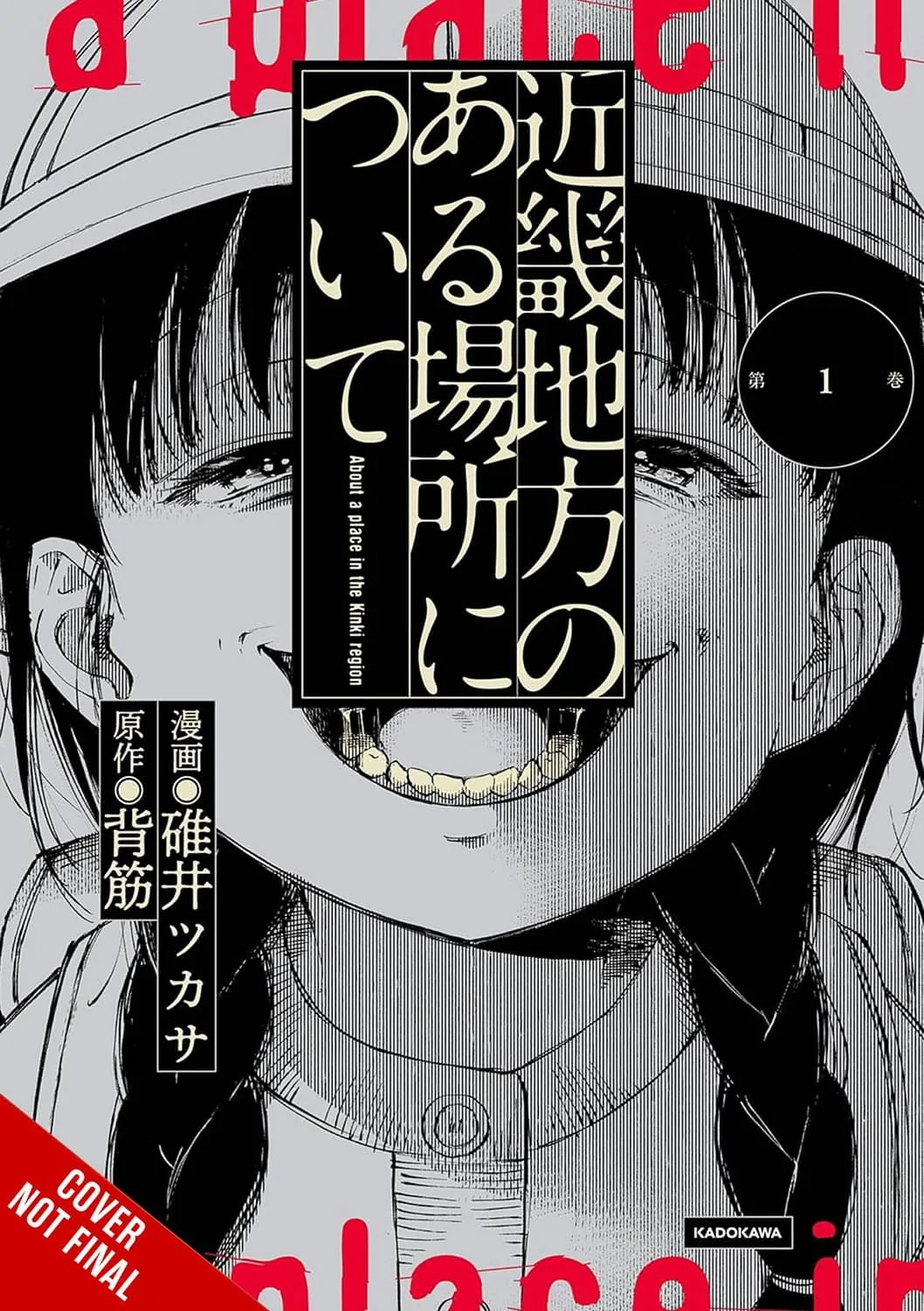 Cover illustration for the manga adaptation of About a Place in the Kinki Region.