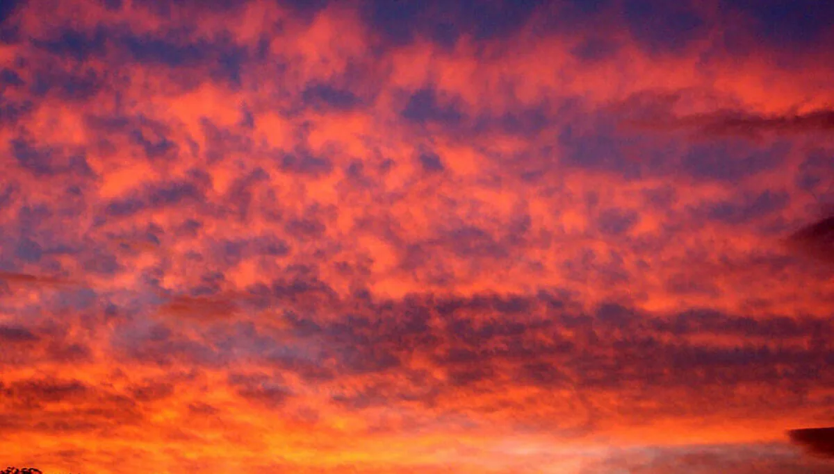 Zen Browser Attracts Arc Users Following Atlassian Pivot — Theregister image