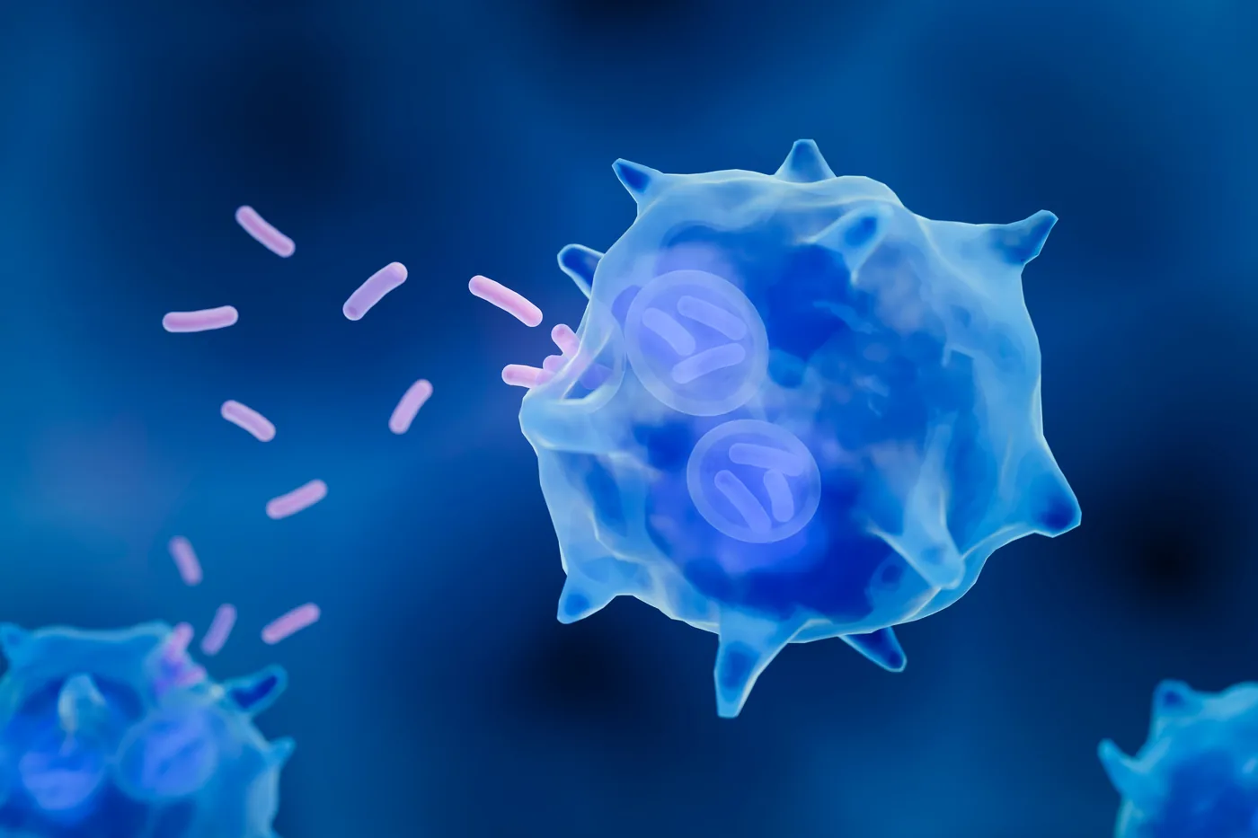 Digital artwork representing senescent cells and macrophage cleanup within biological systems.